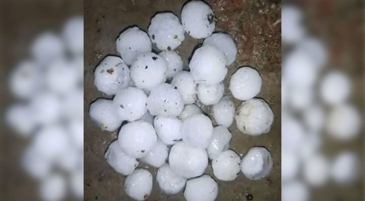 মৌলভীবাজারে হঠাৎ শিলাবৃষ্টি, ফসলের ব্যাপক ক্ষতির শঙ্কা