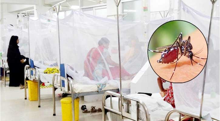 ডেঙ্গুতে ২ জনের মৃত্যু, হাসপাতালে ভর্তি ২২    