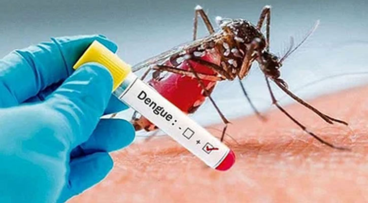 ডেঙ্গুতে মৃত্যু নেই, হাসপাতালে ভর্তি ৩৮